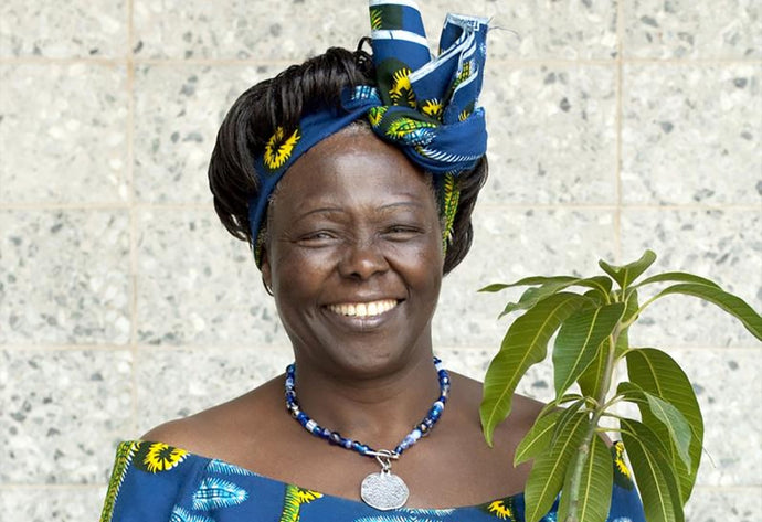 These African Women Taught Us How to Lead Fearlessly